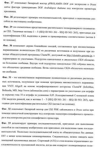 Растения, имеющие улучшенные характеристики роста, и способы их получения (патент 2463352)