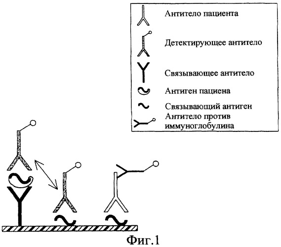 Способ одновременного обнаружения антигенов и антител против инфекционного микроорганизма (патент 2300769)