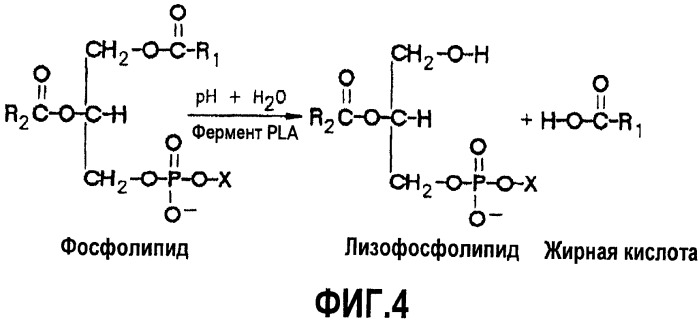 Ферментативное обессмоливание с использованием смеси фосфолипаз pla и plc (патент 2477746)