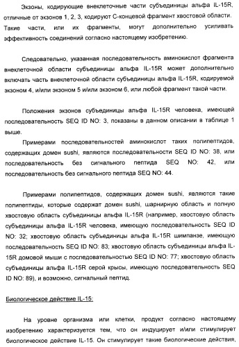 Соединение, предназначенное для стимуляции пути передачи сигнала через il-15rбета/гамма, с целью индуцировать и/или стимулировать активацию и/или пролиферацию il-15rбета/гамма-положительных клеток, таких как nk-и/или t-клетки, нуклеиновая кислота, кодирующая соединение, вектор экспрессии, клетка-хозяин, адъювант для иммунотерапевтической композиции, фармацевтическая композиция и лекарственное средство для лечения состояния или заболевания, при котором желательно повышение активности il-15, способ in vitro индукции и/или стимуляции пролиферации и/или активации il-15rбета/гамма-положительных клеток и способ получения in vitro активированных nk-и/или t-клеток (патент 2454463)