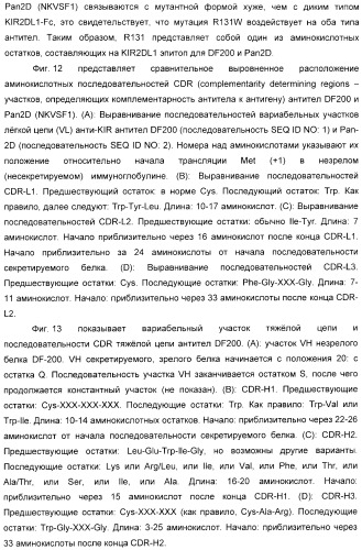 Антитела, связывающиеся с рецепторами kir2dl1,-2,-3 и не связывающиеся с рецептором kir2ds4, и их терапевтическое применение (патент 2410396)