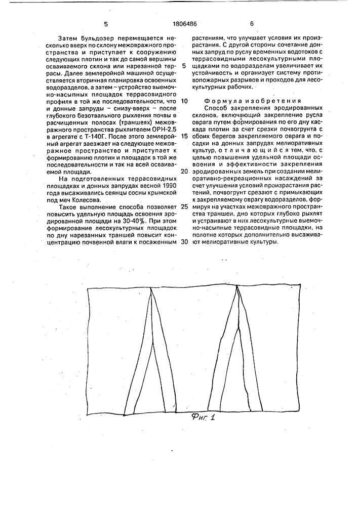 Способ закрепления эродированных склонов (патент 1806486)
