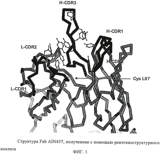 Антагонистические антитела к il-17 (патент 2426741)