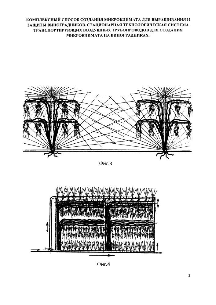 Комплексный способ создания микроклимата для выращивания и защиты виноградников и стационарная технологическая система транспортирующих воздушных трубопроводов для создания микроклимата на виноградниках (патент 2621079)