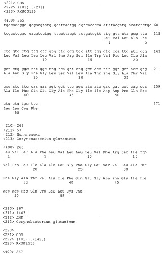 Гены corynebacterium glutamicum, кодирующие белки резистентности и толерантности к стрессам (патент 2303635)