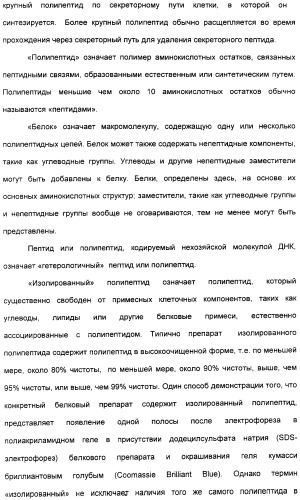 Продуцирование il-21 в прокариотических клетках-хозяевах (патент 2354703)