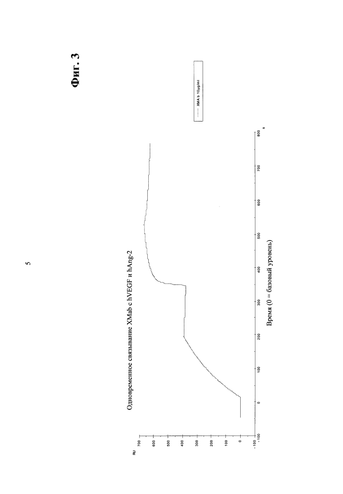 Биспецифические двухвалентные антитела анти-vegf/анти-ang-2 (патент 2597973)