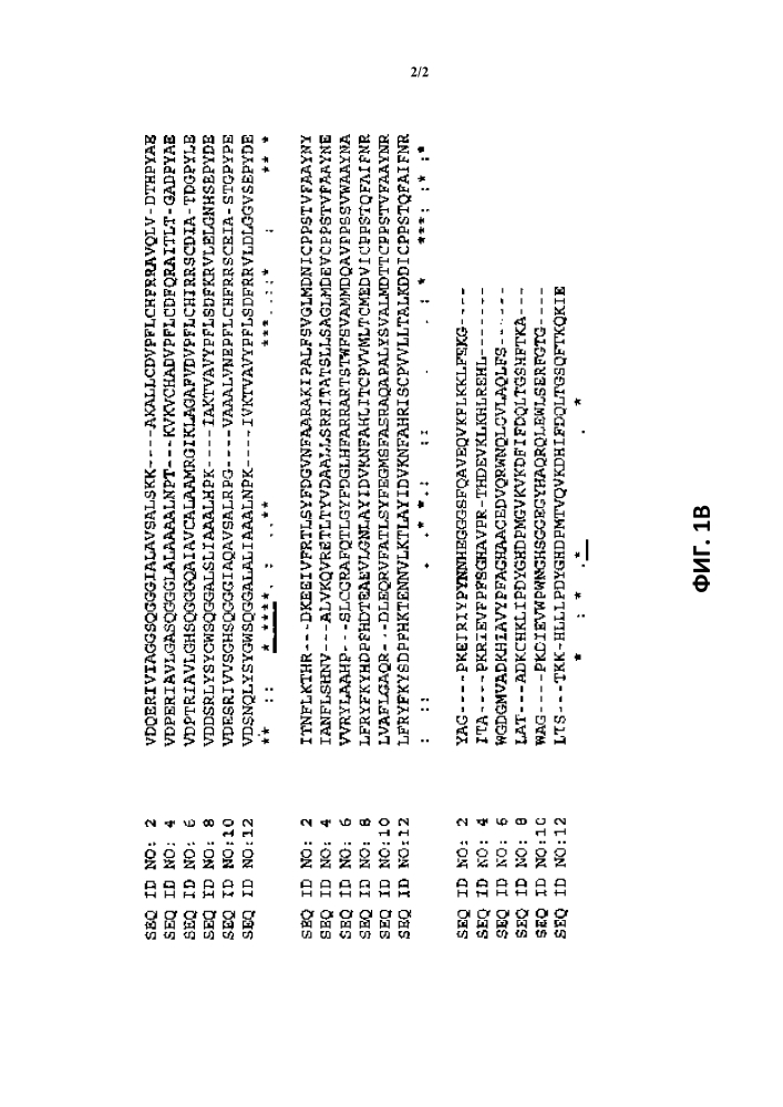 Ферменты, пригодные для получения перкислот (патент 2645257)