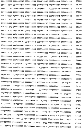 Бактериофаг, обладающий активностью против pseudomonas aeruginosa, белки бактериофага и способы их применения (патент 2580248)