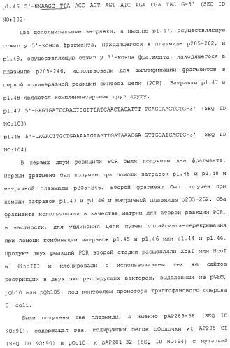 Композиции, содержащие cpg-олигонуклеотиды и вирусоподобные частицы, для применения в качестве адъювантов (патент 2322257)