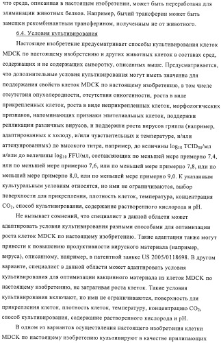Линии клеток почки собаки майдин-дэрби (mdck), поддерживающие рост вирусов до высоких титров, и способ применения этих клеток в биореакторе (патент 2487935)