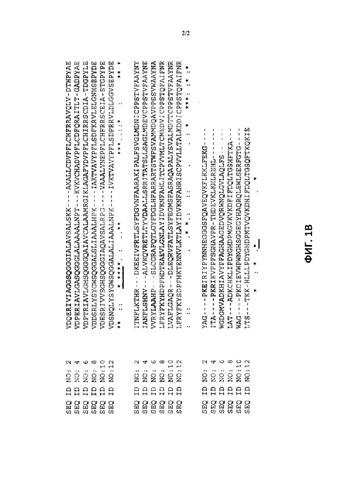 Ферменты, пригодные для получения перкислот (патент 2644336)