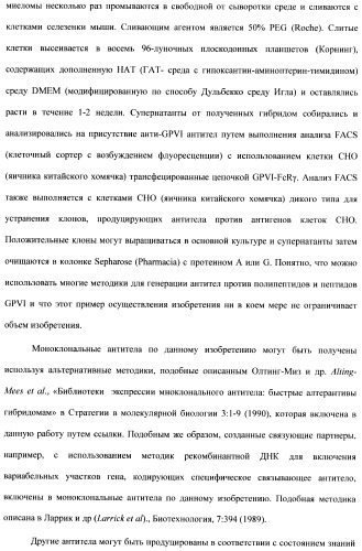 Антитела к гликопротеину vi и способы продуцирования и использования этих антител (патент 2407752)