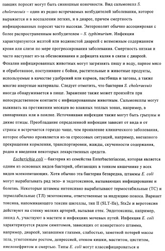 Поливалентные иммуногенные композиции pcv2 и способы получения таких композиций (патент 2488407)