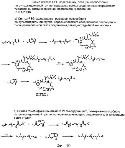 Высокоэффективные конъюгаты и гидрофильные сшивающие агенты (линкеры) (патент 2487877)