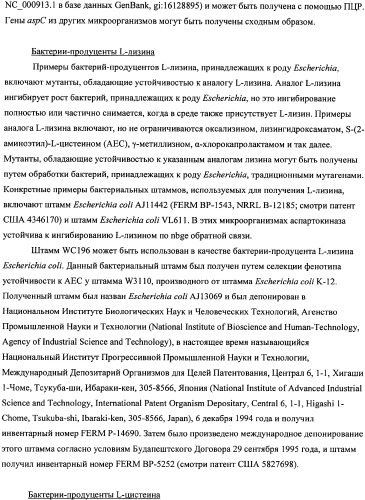Мутантная iib/iic субъединица глюкозоспецифической пермеазы системы pts, фрагмент днк, бактерия, принадлежащая к роду escherichia, - продуцент l-треонина и способ получения l-треонина (патент 2335536)