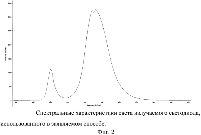 Способ выращивания сеянцев сосны обыкновенной (pinus sylvesrtis l.) (патент 2548190)