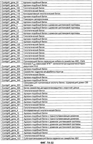 Вакцины и компоненты вакцин для подавления микробных клеток (патент 2528854)