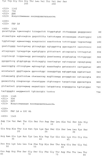 Pscaxcd3, cd19xcd3, c-metxcd3, эндосиалинxcd3, epcamxcd3, igf-1rxcd3 или fap-альфаxcd3 биспецифическое одноцепочечное антитело с межвидовой специфичностью (патент 2547600)