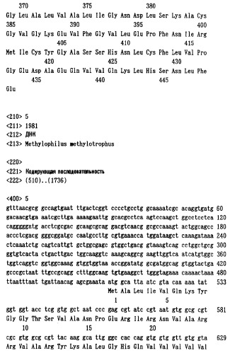 Способ получения l-лизина с использованием бактерий methylophilus и способ получения бактериальных клеток methylophilus (патент 2334794)