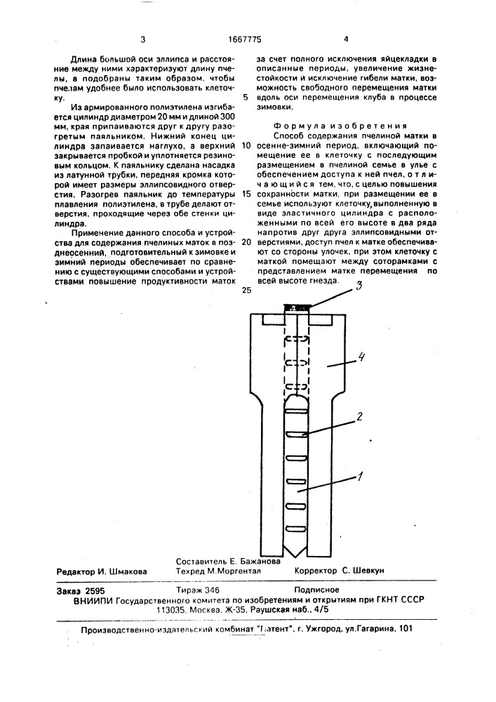 Способ содержания пчелиной матки в осенне-зимний период (патент 1667775)