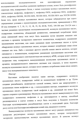 Способ получения фактора, связанного с контролем над потреблением пищи и/или массой тела, полипептид, обладающий активностью подавления потребления пищи и/или прибавления в весе, молекула нуклеиновой кислоты, кодирующая полипептид, способы и применение полипептида (патент 2418002)