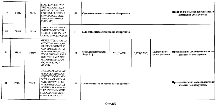 Бактериофаг, обладающий активностью против pseudomonas aeruginosa, белки бактериофага и способы их применения (патент 2580248)