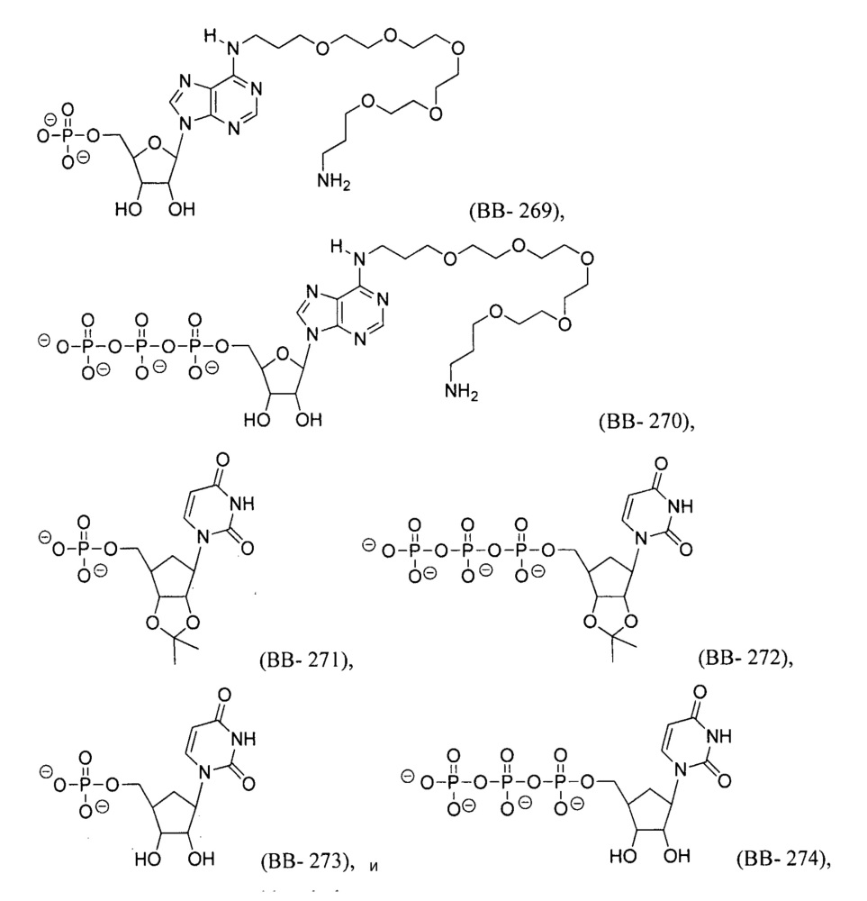 Модифицированные нуклеозиды, нуклеотиды и нуклеиновые кислоты и их применение (патент 2648950)