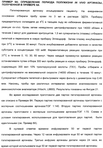 Фармацевтический препарат и способ лечения злокачественных опухолей у человека с помощью аргининовой депривации (патент 2335539)
