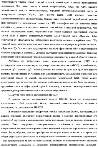 Белки, связывающие антиген фактор роста, подобный гепаринсвязывающему эпидермальному фактору роста (патент 2504551)