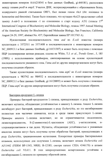 Способ получения l-треонина с использованием бактерии, принадлежащей к роду escherichia, в которой инактивирован оперон ycbponme (оперон ssueadcb) (патент 2392326)