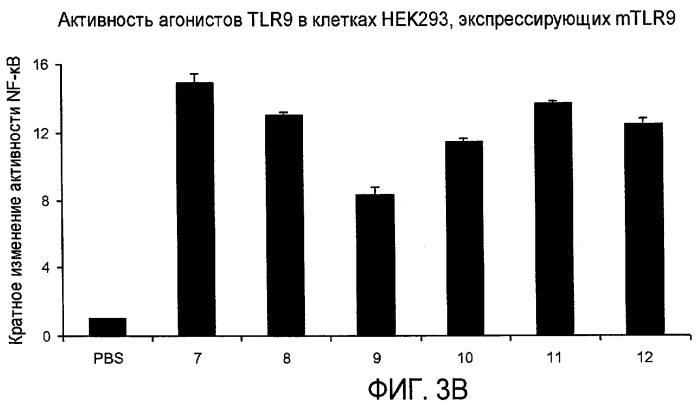 Новые синтетические агонисты tlr9 (патент 2468819)