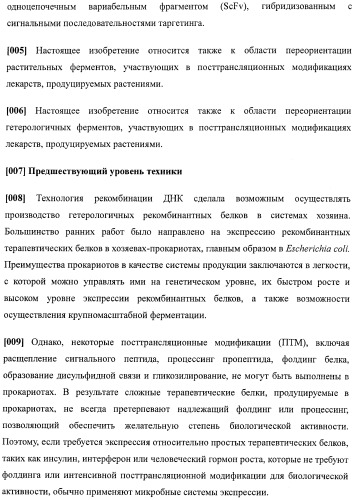 Набор последовательностей для таргетинга экспрессии и контроля посттрансляционных модификаций рекомбинантного полипептида (патент 2481399)