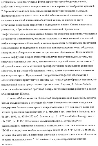 Иммуногенные композиции, содержащие lawsonia intracellularis (патент 2443430)