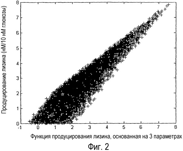 Способ продуцирования l-лизина или l-треонина с помощью бактерий escherichia, имеющих аттенуированную активность малеинового фермента (патент 2337140)