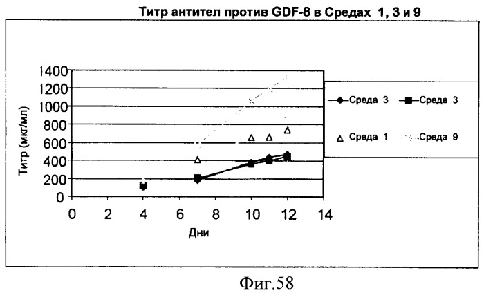 Производство полипептидов (патент 2451082)