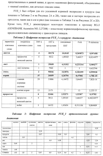 Изолированные полипептиды, кодирующие их полинуклеотиды, экспрессирующие их трансгенные растения и способы их использования (патент 2425151)