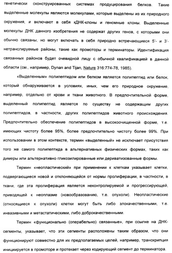 Выделенный полипептид, связывающий рецептор zalpha11-лиганда (варианты), кодирующий его полинуклеотид (варианты), вектор экспрессии (варианты) и клетка-хозяин (варианты) (патент 2346951)