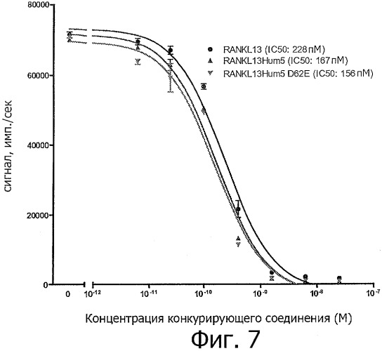 Аминокислотные последовательности, направленные на rank-l, и полипептиды, включающие их, для лечения заболеваний и нарушений костей (патент 2481355)