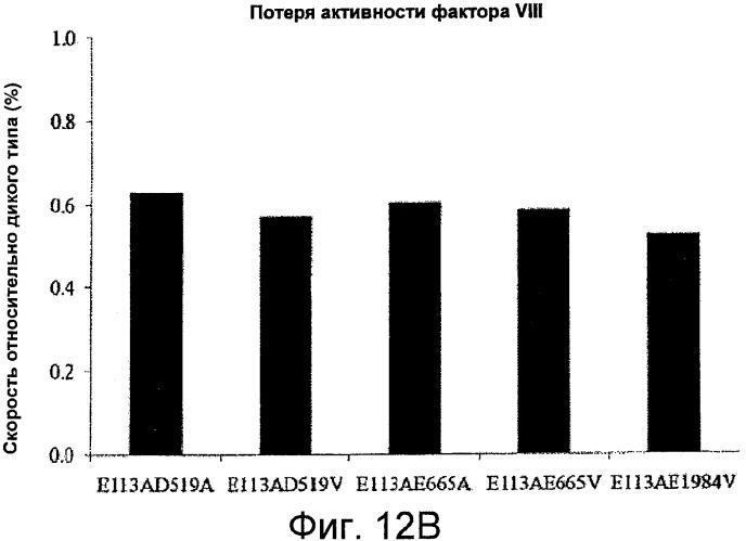 Рекомбинантный фактор viii, обладающий повышенной стабильностью (патент 2531493)