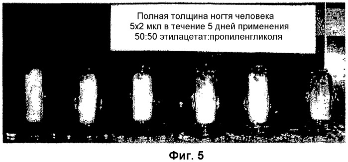 Борсодержащие малые молекулы (патент 2414906)