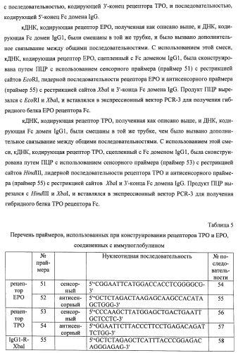 Вариант еро, обладающий повышенным сродством связывания с рецептором и сниженным антигенным потенциалом, днк, кодирующая такой вариант еро, рекомбинантный экспрессионный вектор, содержащий такую днк, клетка-хозяин, трансформированная или трансфектированная таким вектором, способ получения такого варианта еро и фармацевтическая композиция, содержащая такой вариант еро (патент 2432360)