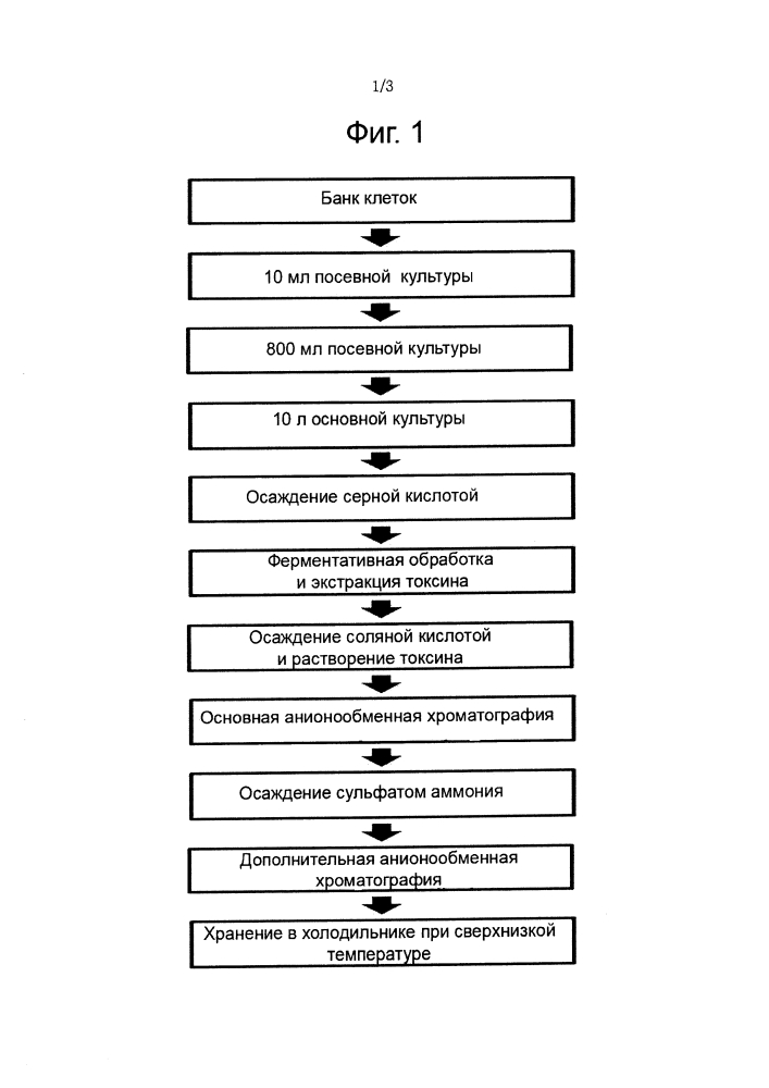 Способ получения ботулотоксина (патент 2627159)