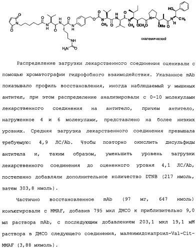 Cd19-связывающие средства и их применение (патент 2476441)