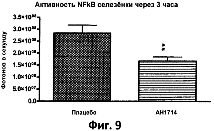 Пробиотический штамм бифидобактерий (патент 2546251)