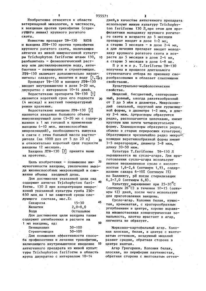 Вакцина тф-130 (к) против трихофитии крупного рогатого скота и способ профилактики лечения трихофитии крупного рогатого скота (патент 955571)