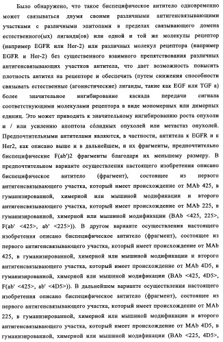 Биспецифические антитела к erb-b и их применение для лечения опухолей (патент 2349340)