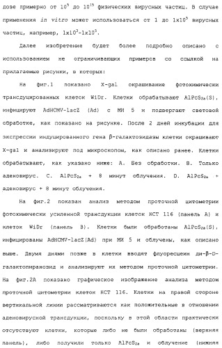 Фотохимическая интернализация для опосредованной вирусом доставки молекулы в цитозоль (патент 2317827)