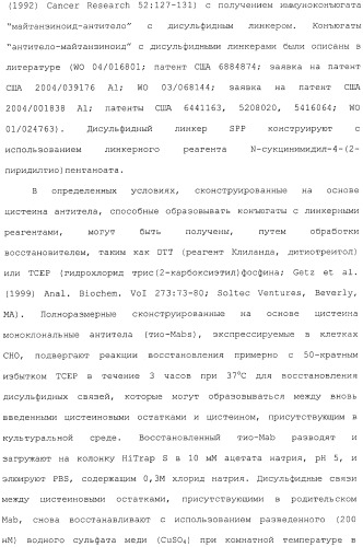 Антитела, сконструированные на основе цистеинов, и их конъюгаты (патент 2412947)