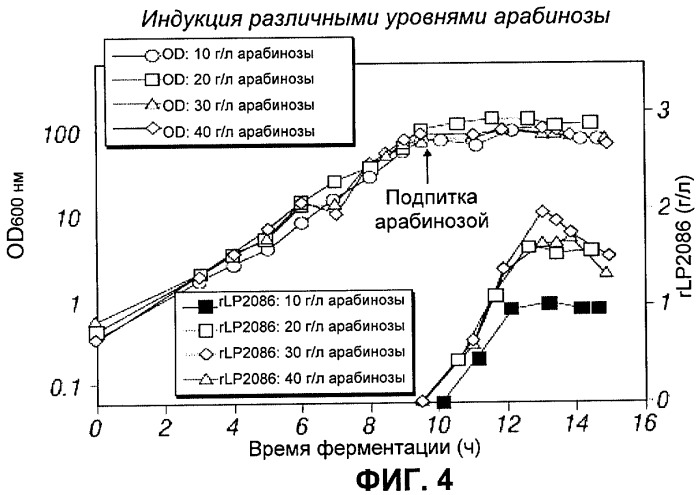 Процесс периодической ферментации с подпиткой при высокой плотности клеток для получения рекомбинантного белка (патент 2451070)